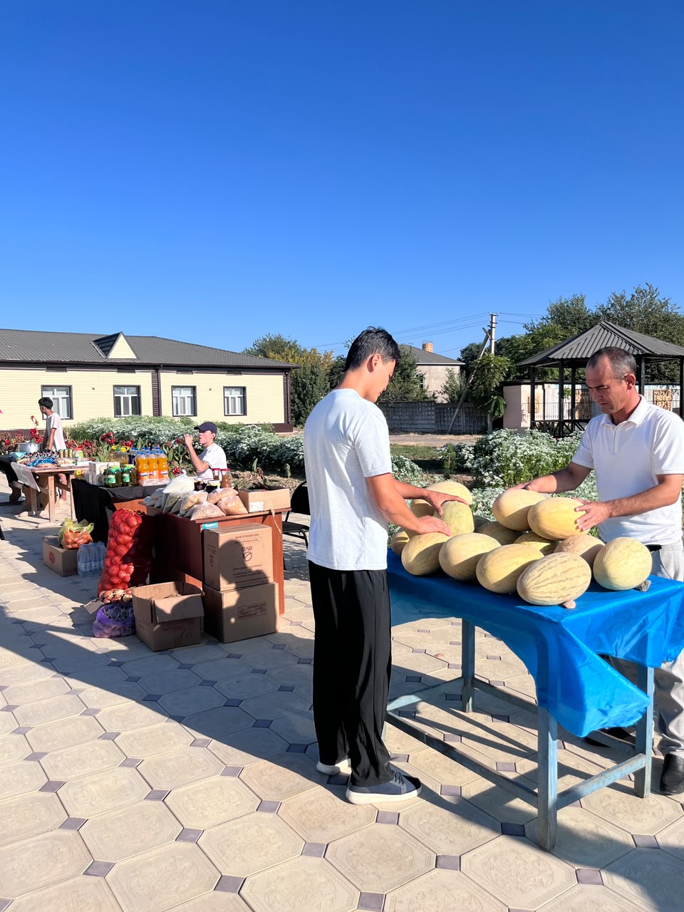 МАҚТААРАЛДА САЙЛАУ ҚАРСАҢЫНДА АУЫЛ ШАРУАШЫЛЫҒЫ ЖӘРМЕҢКЕСІ ҰЙЫМДАСТЫРЫЛДЫ