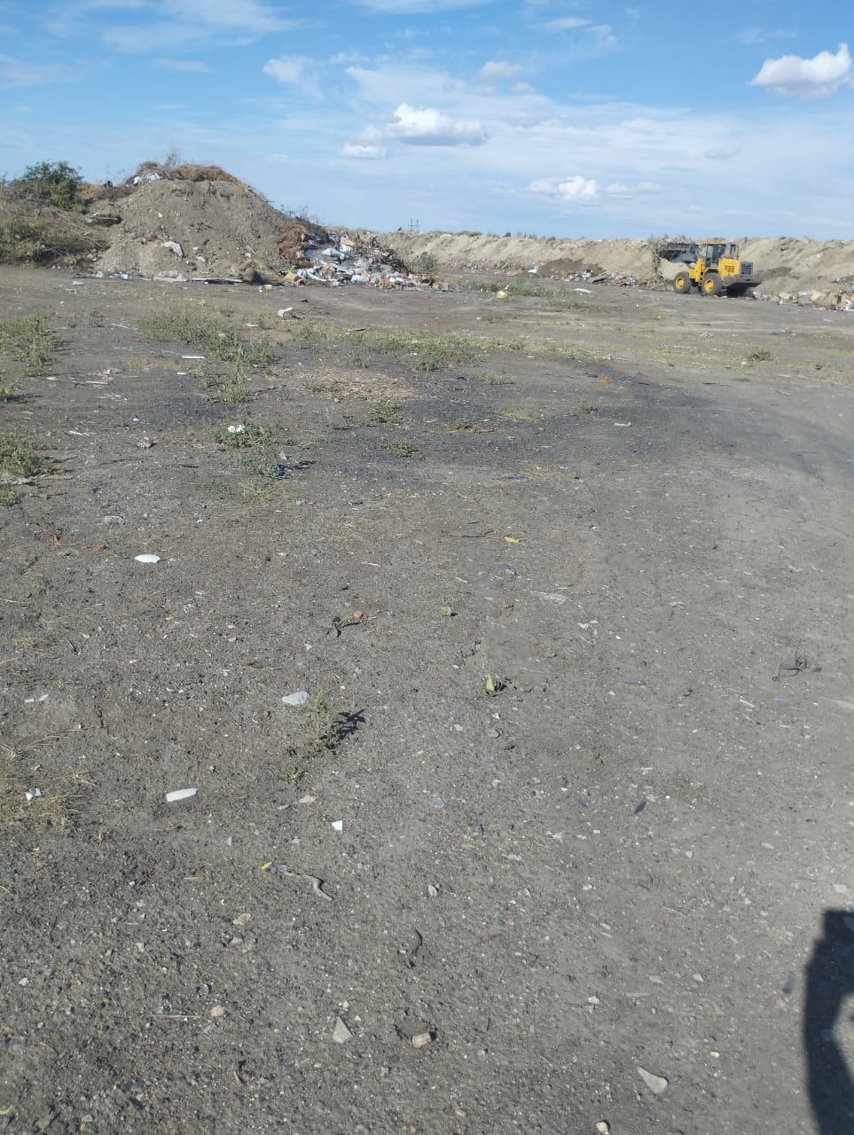 Полигонды тазарту