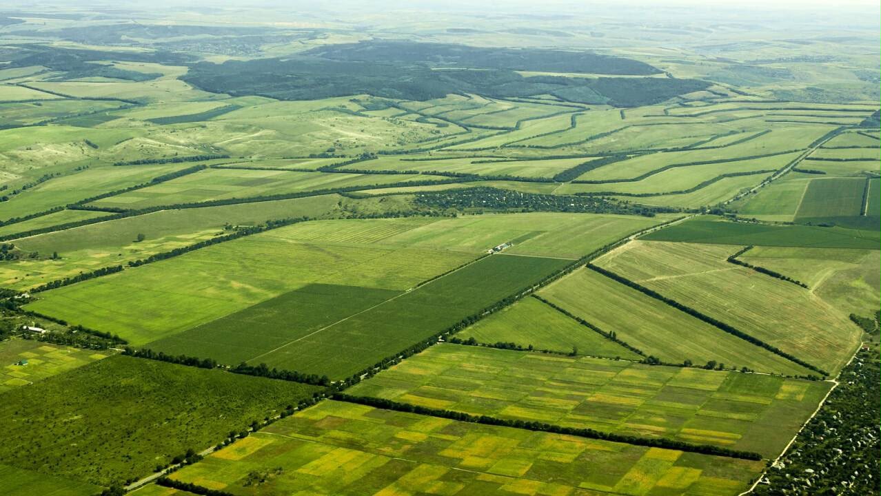 АУЫЛ ШАРУАШЫЛЫҒЫ МАҚСАТЫНДАҒЫ ЖЕР УЧАСКЕЛЕРІН ЖАЛҒА АЛУ ҚҰҚЫҒЫН БЕРУ ЖӨНІНДЕГІ КОНКУРСТЫ ӨТКІЗУ КҮНІНІҢ ӨЗГЕРТІЛУІ ТУРАЛЫ