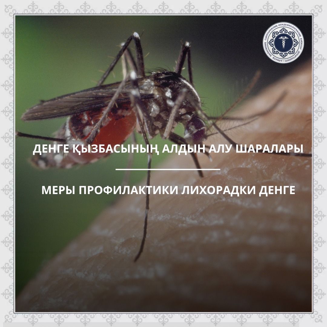 Денге қызбасының алдын алу шаралары
