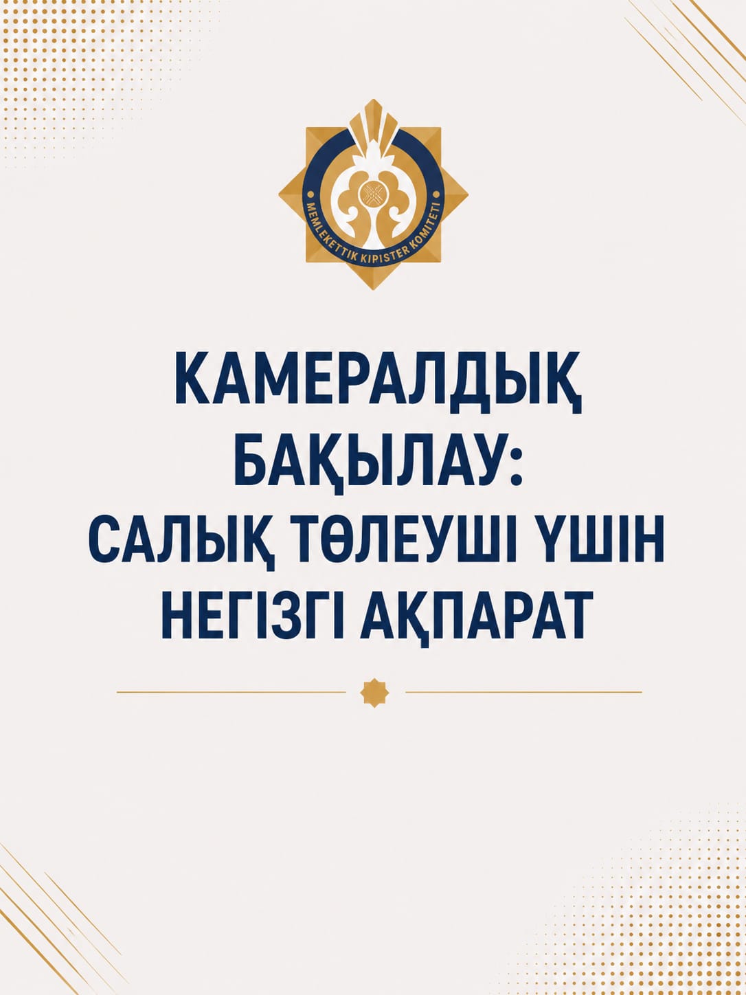 Камералдық бақылау: салық төлеуші нені білуі керек?
