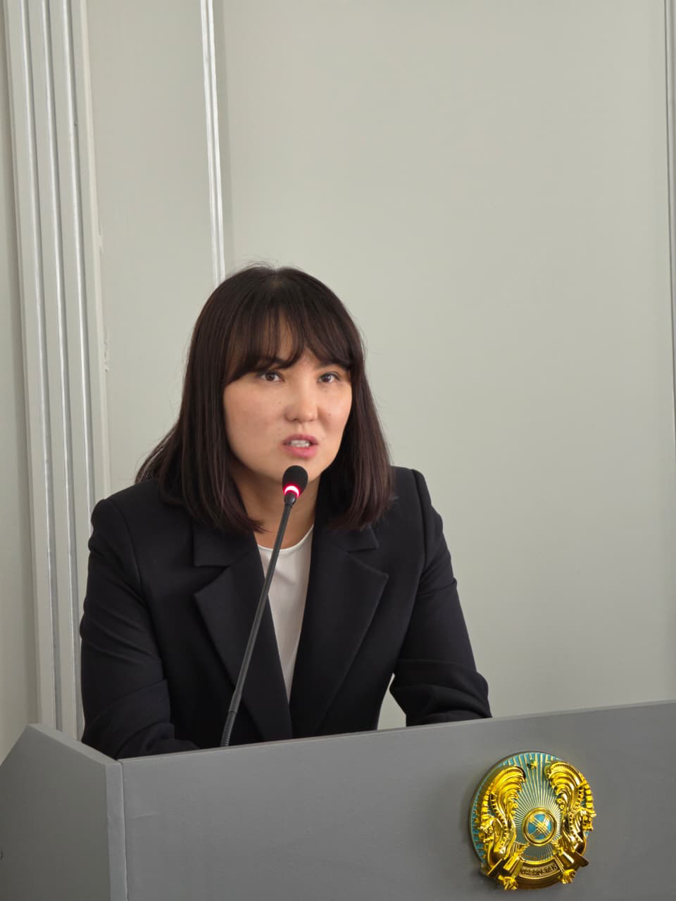 тұрғын инспекция бөлімінің басшысы