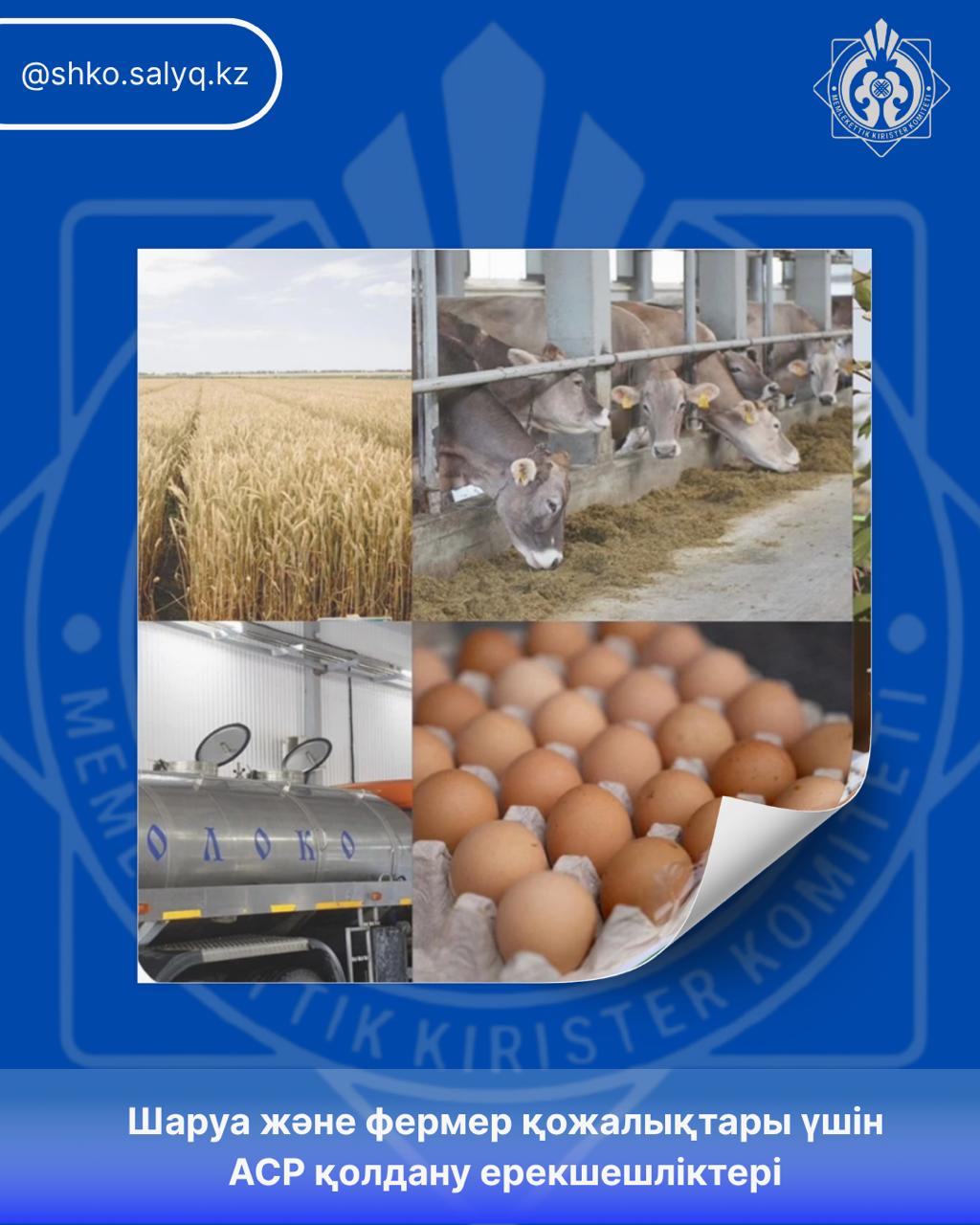 Specifics of Applying the Special Tax Regime for Peasant and Farm Enterprises
