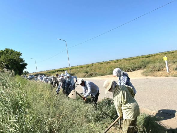 ЖАҒАЛАУ ТАЗАРЫП, АЙМАҚ АЖАРЛАНДЫ