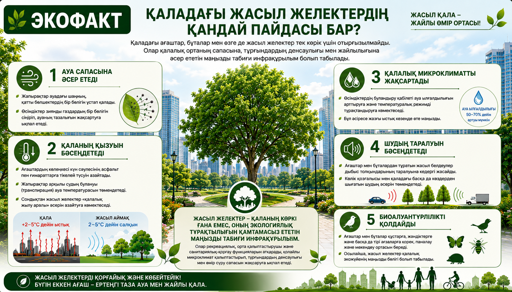 ЭКОФАКТ | Чем полезны зелёные насаждения в городе?