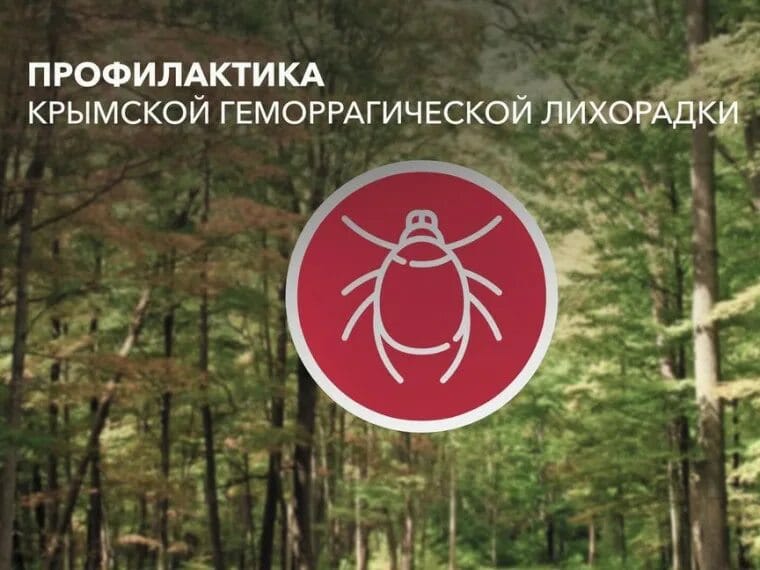 Конго-Крымская геморрагическая лихорадка: что нужно знать?