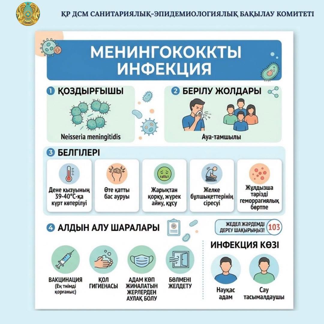 Менингококковая инфекция