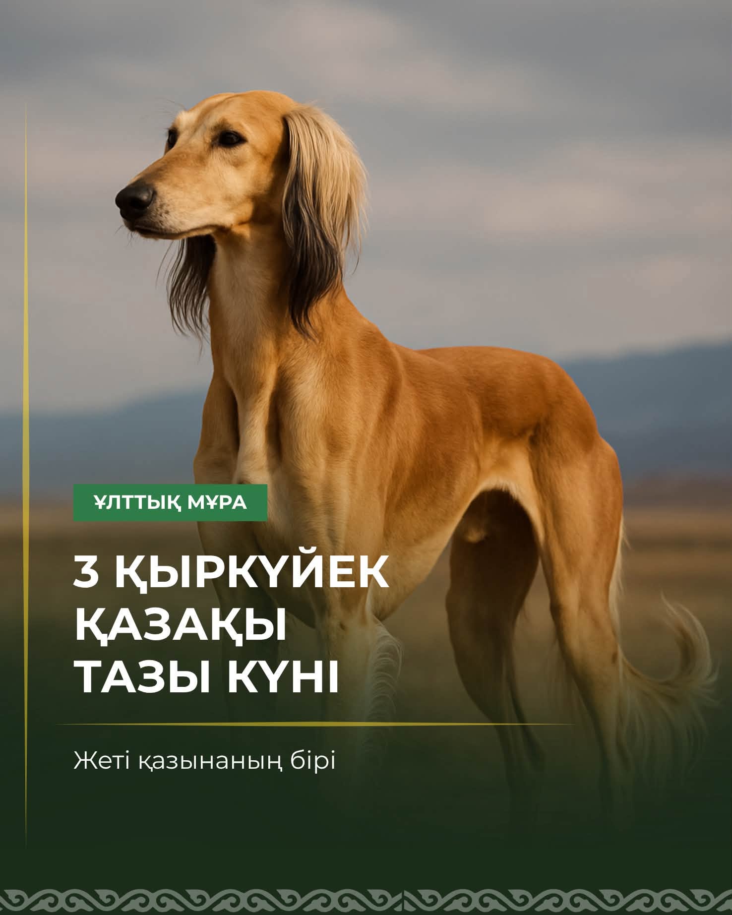 3 сентября — день казахского тазы