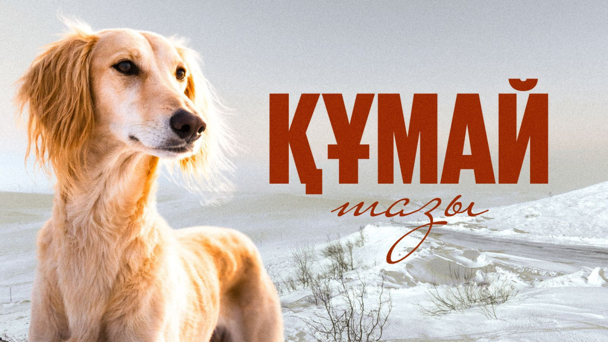 Сегодня мы впервые отмечаем День казахского тазы и тобета