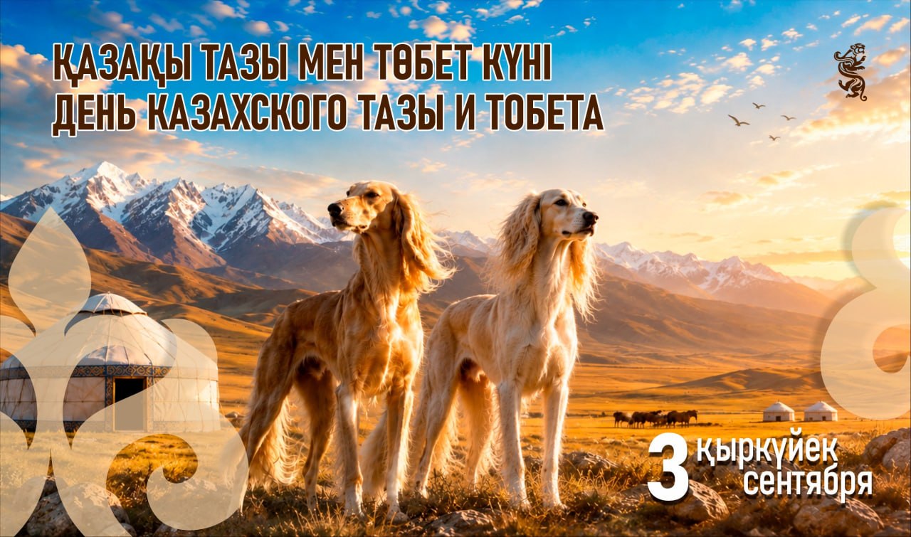 Сегодня впервые отмечается День казахского тазы и тобета
