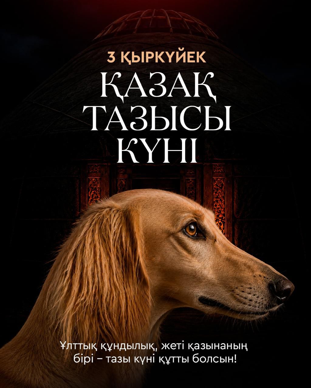 Бүгін елімізде Қазақ тазысы мен төбеті күні алғаш рет аталып өтіп жатыр.