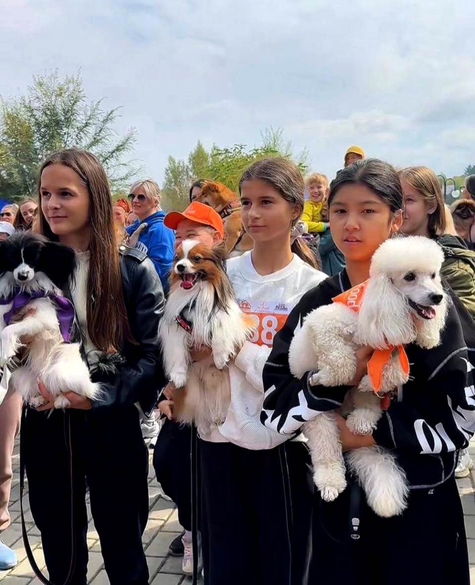 Өскеменде жануарларды жақсы көретіндерге арналған PET DOG FEST-2026 отбасылық фестивалі өтеді